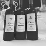 Garden Relais Le Fontanelle 아파트호텔 몬테스쿠다이오