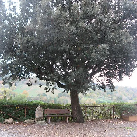 Le Fontanelle
